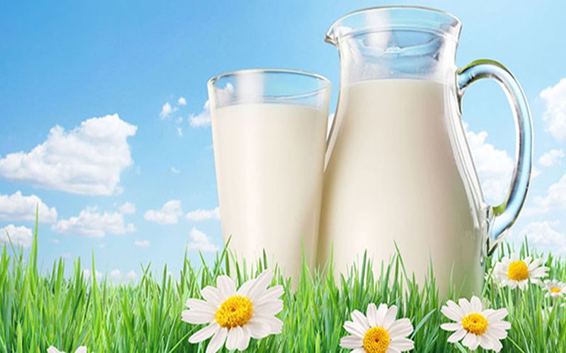 Sau khi sinh bao lâu thì được uống sữa tươi Úc? 2 Sữa tươi Úc cung cấp canxi, sắt, chất béo, chất đạm, đường và nhiều vitamin cho mẹ và bé