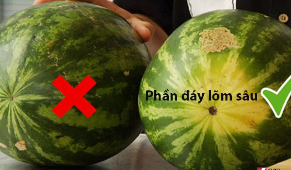 Cách làm Sinh tố dưa hấu sữa tươi nguyên kem 2 Cách làm Sinh tố dưa hấu sữa tươi nguyên kem