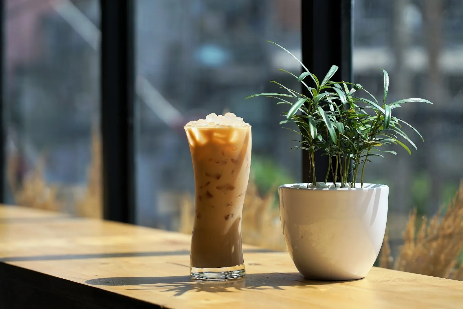 Cách làm hồng trà sữa với sữa tươi tại nhà thơm ngon như ngoài tiệm